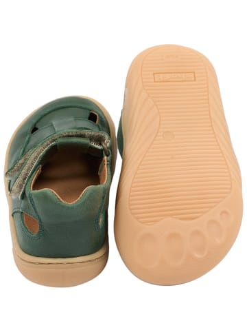 POM POM Leren barefootschoenen groen