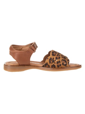 POM POM Leder-Sandalen in Braun
