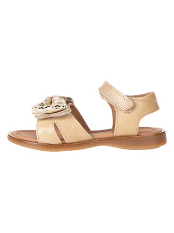 POM POM Leder-Sandalen in Beige/ Gold