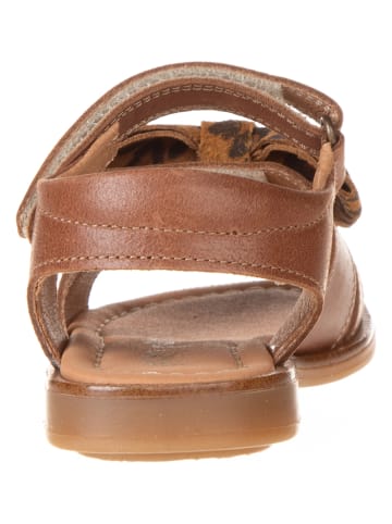 POM POM Leder-Sandalen in Braun