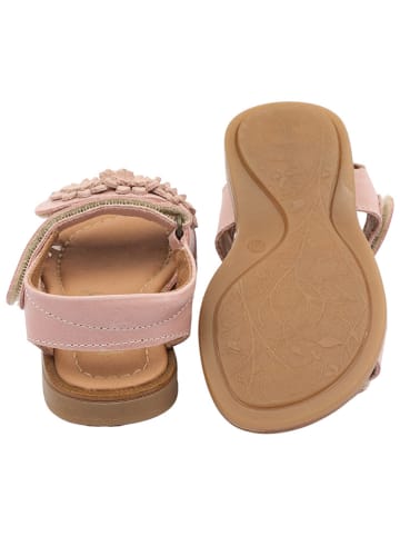 POM POM Leder-Sandalen in Rosa