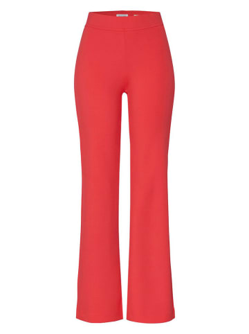 Rosner Hose in Rot