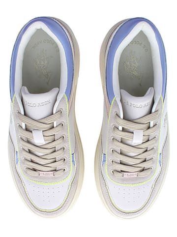 U.S. Polo Assn. Sneakers "Asuka" in Beige/ Bunt