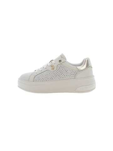 U.S. Polo Assn. Sneakers "Asuka" in Beige