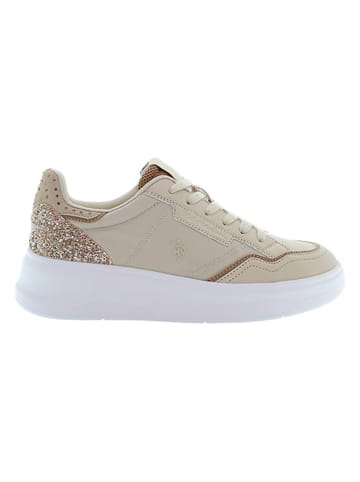 U.S. Polo Sneakers "Ginger" in Beige