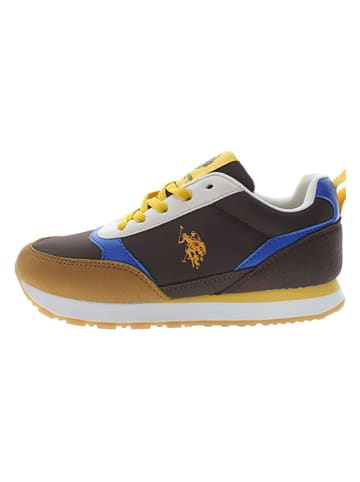 U.S. Polo Sneakers bruin/geel