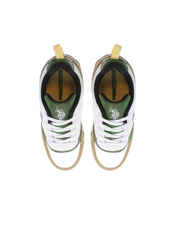 U.S. Polo Assn. Sneakers in Weiß/ Beige/ Grün
