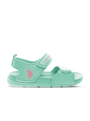 U.S. Polo Assn. Sandalen in Grün