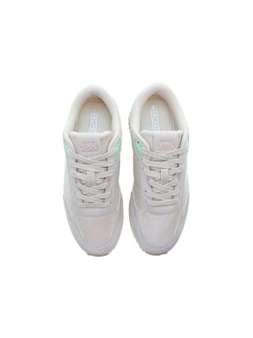 U.S. Polo Assn. Sneakers in Grau/ Grün