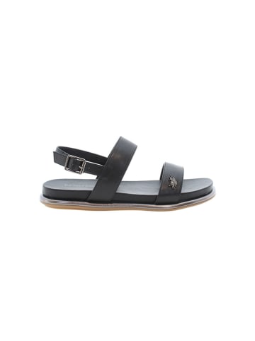U.S. Polo Assn. Sandalen in Schwarz