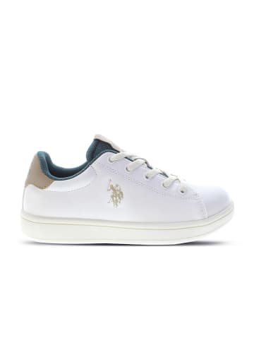 U.S. Polo Assn. Sneakers in Weiß/ Beige