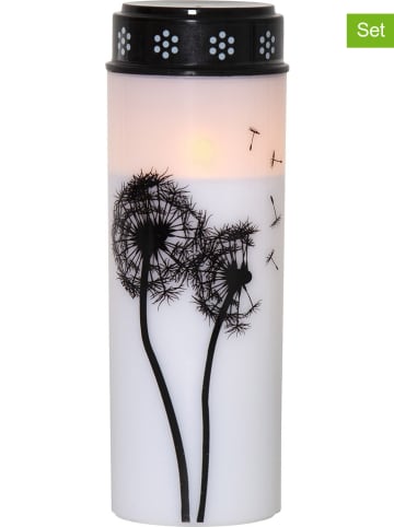 STAR Trading 4-delige set: ledgrafkaarsen "Dandelion" wit/zwart - (H)21 x Ø 7 cm