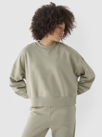 4F Sweatshirt in Grün
