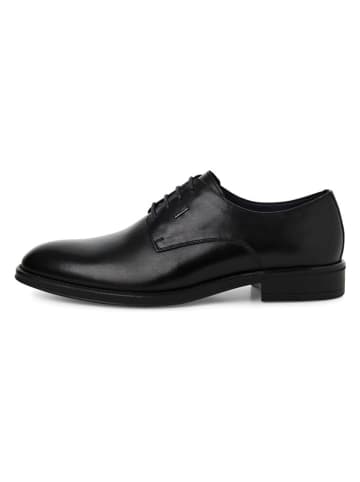 s.Oliver Leder-Schnürschuhe in Schwarz