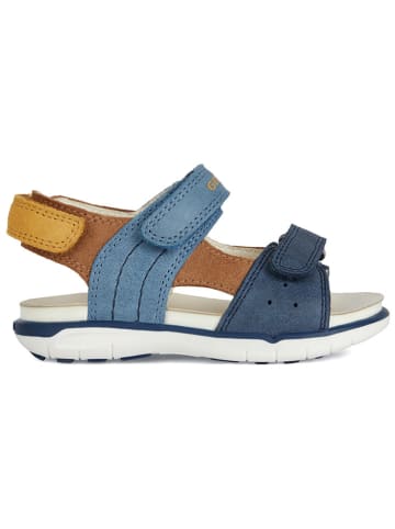 Geox Leder-Sandalen "Delhi" in Dunkelblau
