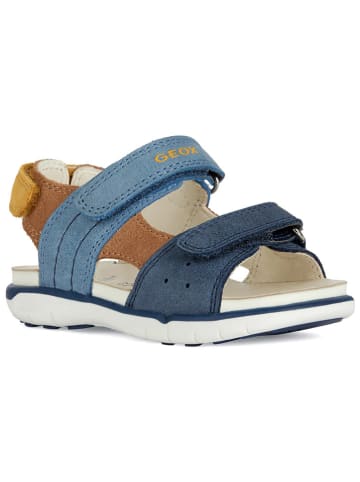 Geox Leder-Sandalen "Delhi" in Dunkelblau