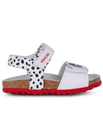 Geox Sandalen "Chalki" wit