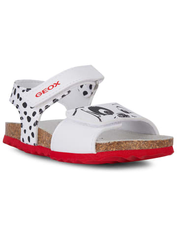 Geox Sandały "Chalki" w kolorze białym