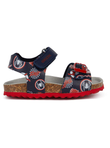 Geox Sandalen "Chalki" in Dunkelblau