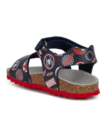 Geox Sandalen "Chalki" in Dunkelblau