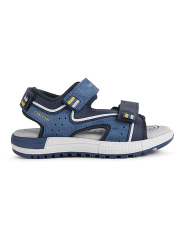 Geox Sandalen "Alben" in Dunkelblau