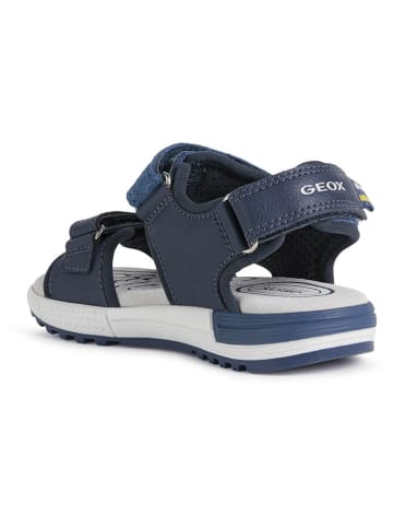 Geox Sandalen "Alben" in Dunkelblau