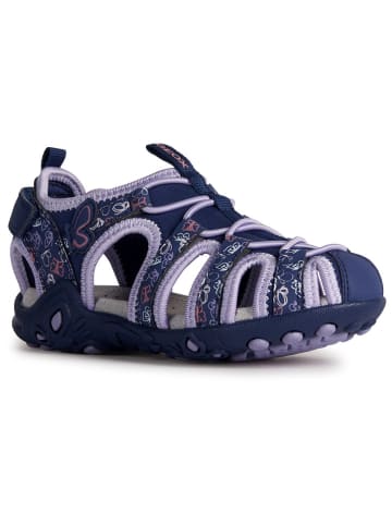 Geox Halbsandalen "Whinberry" in Lila