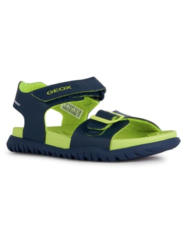 Geox Sandalen "Fusbetto" donkerblauw
