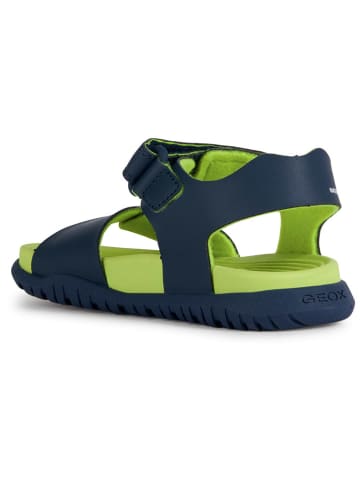 Geox Sandalen "Fusbetto" donkerblauw