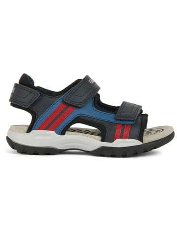Geox Sandalen "Borealis" in Schwarz
