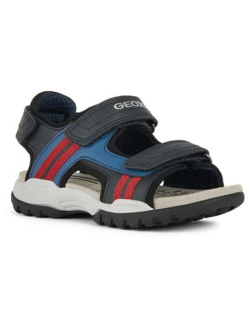 Geox Sandalen "Borealis" in Schwarz