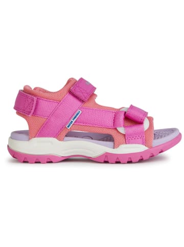 Geox Sandalen "Borealis" in Pink