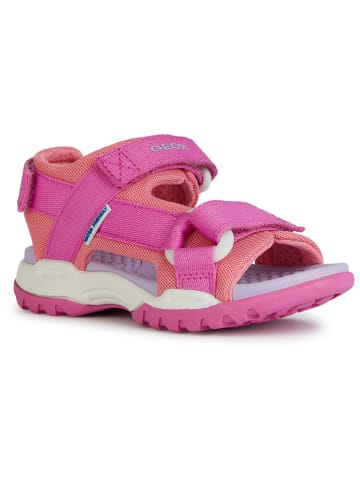 Geox Sandalen "Borealis" in Pink