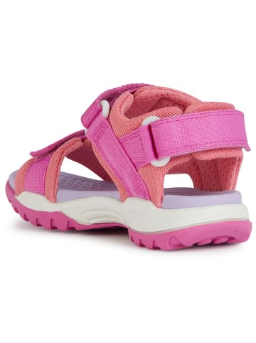Geox Sandalen "Borealis" roze