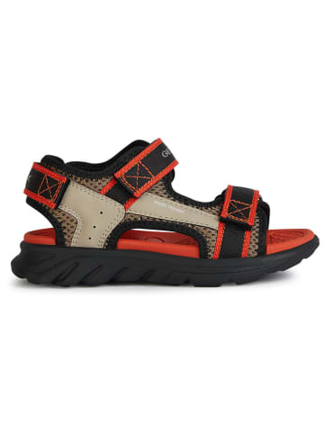 Geox Sandalen "Airadyum" in Beige/ Rot/ Schwarz