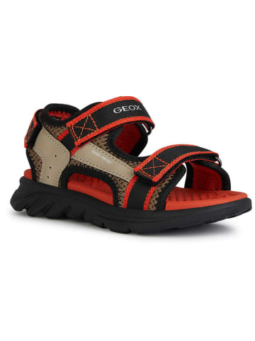 Geox Sandalen "Airadyum" beige/rood/zwart
