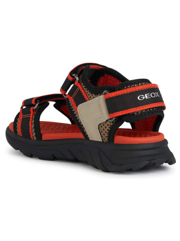Geox Sandalen "Airadyum" beige/rood/zwart
