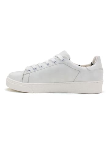 Goby Leren sneakers wit/roze