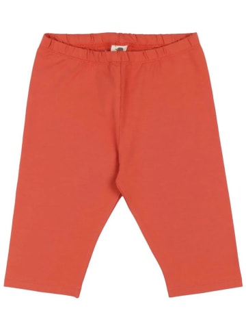 Walkiddy Leggings in Orange