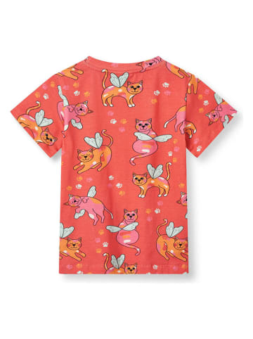 Småfolk Shirt "Katten" koraalrood/meerkleurig