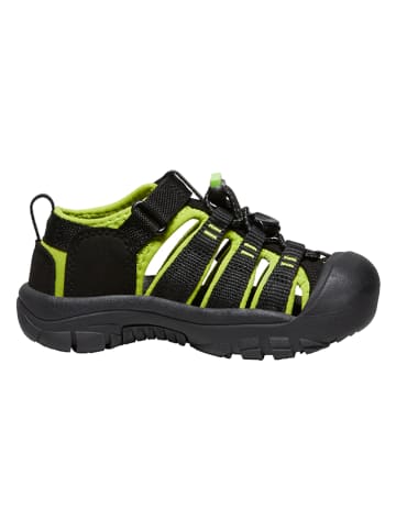 Keen Wandersandalen "Newport H2 C" in Schwarz/ Grün