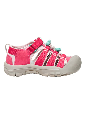 Keen Wandelsandalen roze