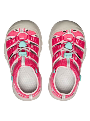 Keen Wandelsandalen roze