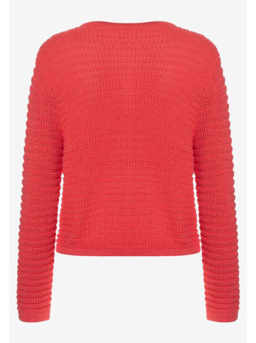 More & More Vest rood