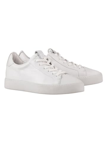 Högl Leren sneakers "Carly" wit
