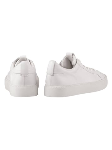 Högl Leren sneakers "Carly" wit