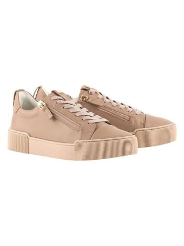 Högl Leder-Sneakers "Comfy" in Beige