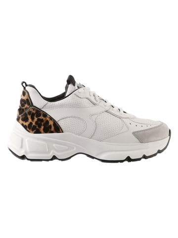 Högl Leder-Sneakers "Faith" in Weiß/ Bunt