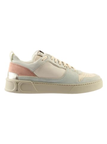 Högl Leder-Sneakers "Macba Seven" in Creme/ Bunt