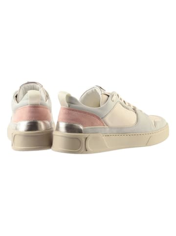 Högl Leder-Sneakers "Macba Seven" in Creme/ Bunt